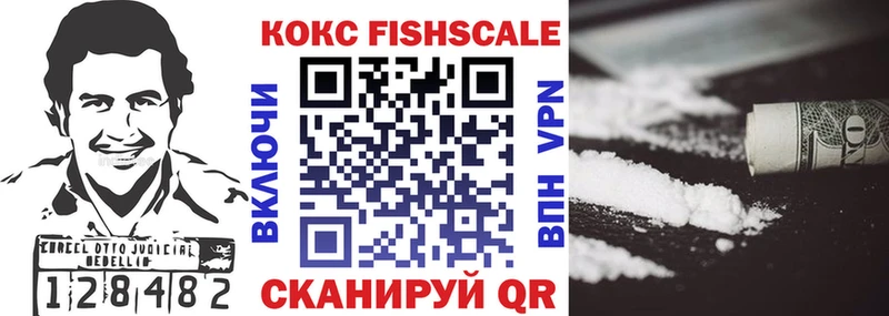 КОКАИН FishScale  Камышин 