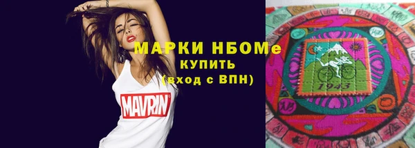 прущие грибы Ельня
