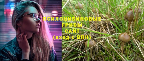 гидропоника Заволжск