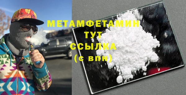 прущие грибы Ельня