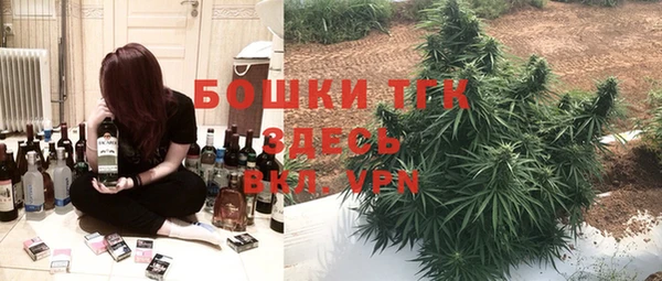 экстази Заводоуковск