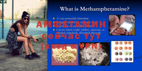 прущие грибы Ельня