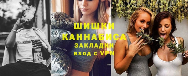 прущие грибы Ельня