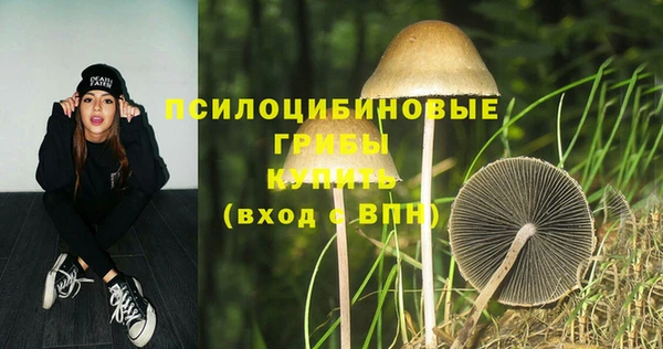 экстази Заводоуковск