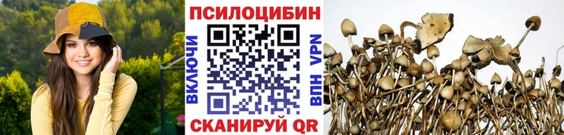цена наркотик  Камышин  Галлюциногенные грибы Psilocybe 